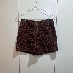 Zara Shorts
